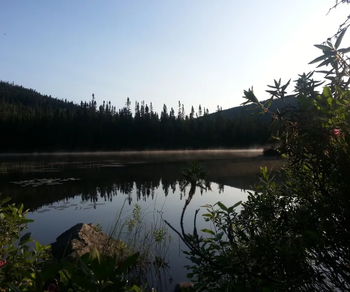 Lac calme au matin