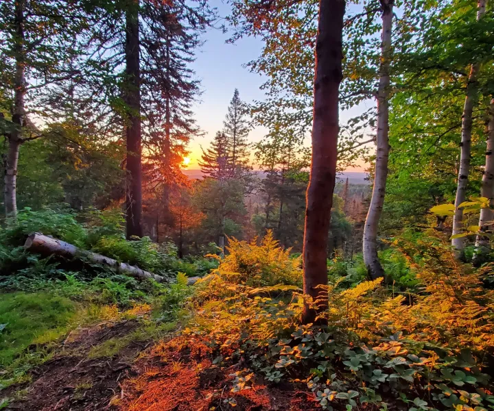 Coucher de soleil flamboyant sur un plan d'eau paisible lors d'une expédition de Solutions Zen